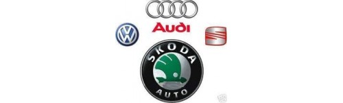 Grupa VW (AUDI, SKODA, SEAT, VW)